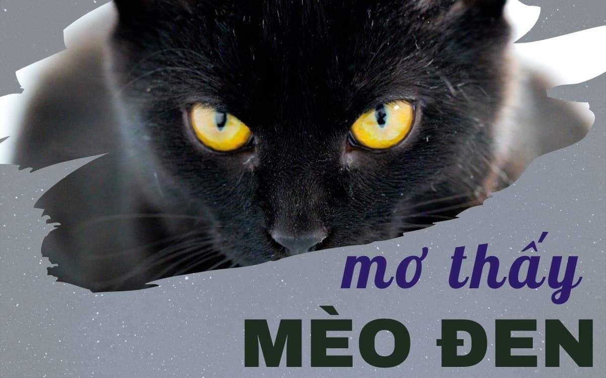 Giải Mã Giấc Mơ Thấy Mèo: Điềm Báo Cát Tường Hay Cảnh Báo Rủi Ro?